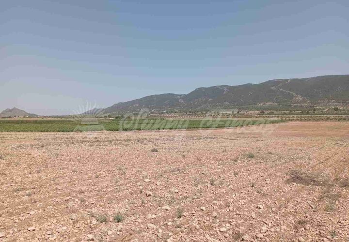 Helårsgrund i Yecla, Murcia, Yecla - € 39.000 | Ref: SF0472 - foto 1